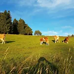 Appartamento Apartmaji Kozelj *