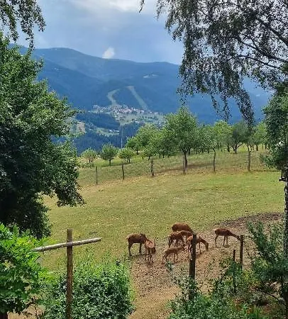 Apartmaji Kozelj * Ribnica na Pohorju