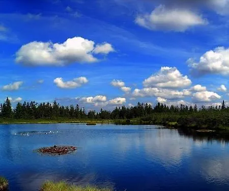 Apartament Apartmaji Kozelj Ribnica na Pohorju