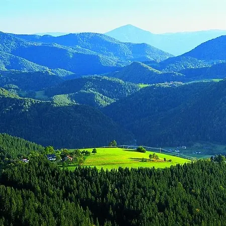 Apartmaji Kozelj * Ribnica na Pohorju