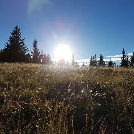 Apartmaji Kozelj Appartement Ribnica na Pohorju