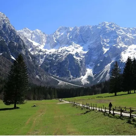 Apartmaji Kozelj Apartament