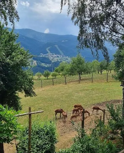 Apartmaji Kozelj * Ribnica na Pohorju