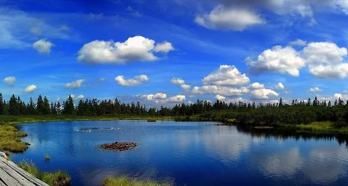 Appartement Apartmaji Kozelj Ribnica na Pohorju