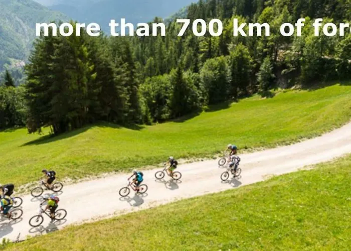 Apartmaji Kozelj * Ribnica na Pohorju