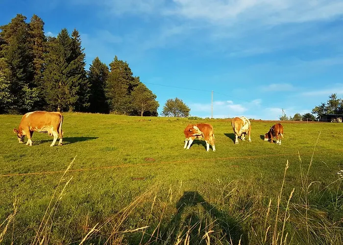 Apartmán Apartmaji Kozelj *