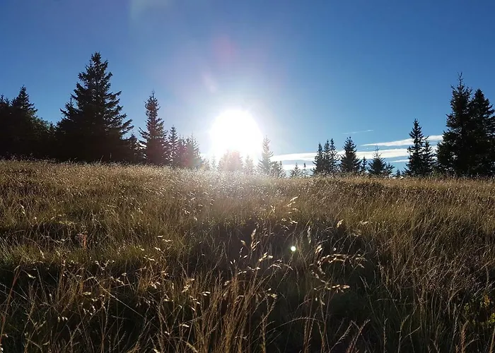 Apartmaji Kozelj Apartmán Ribnica na Pohorju