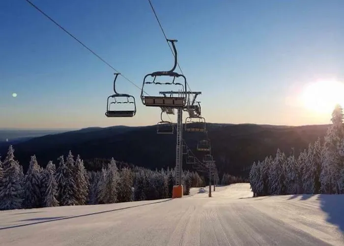 Apartmaji Kozelj * Ribnica na Pohorju