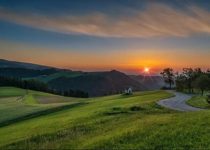 Apartmaji Kozelj * Ribnica na Pohorju