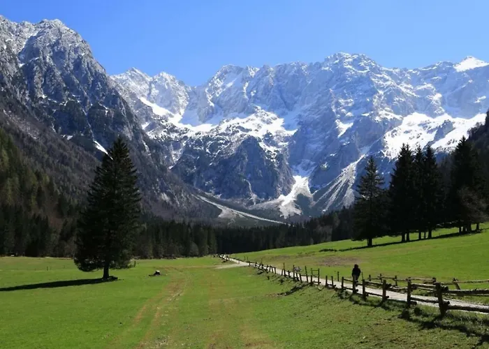 Apartmaji Kozelj Apartmán